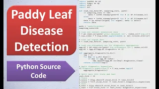 Paddy Leaf Disease Detection Using Python Source Code Paddy Disease Prediction Using CNN Python