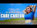 Lagu Cabe Cabean - DJ Slow Remix | Paprinka | DJ Goyan Goyang