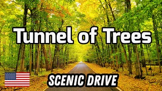 Michigan S Tunnel Of Trees The Most Breathtaking Drive 