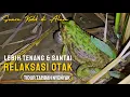 Download Lagu Suara Kodok Sawah 2 Jam