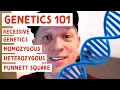 Ball Python Beginner Genetics - Hets and Clowns
