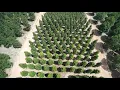 Moon Valley Nurseries Glen Fora Farm