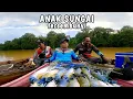 Lagu TERSESAT DISUNGAI SAAT MANCING UDANG GALAH TERNYATA BANYAK UDANG BESARNYA
