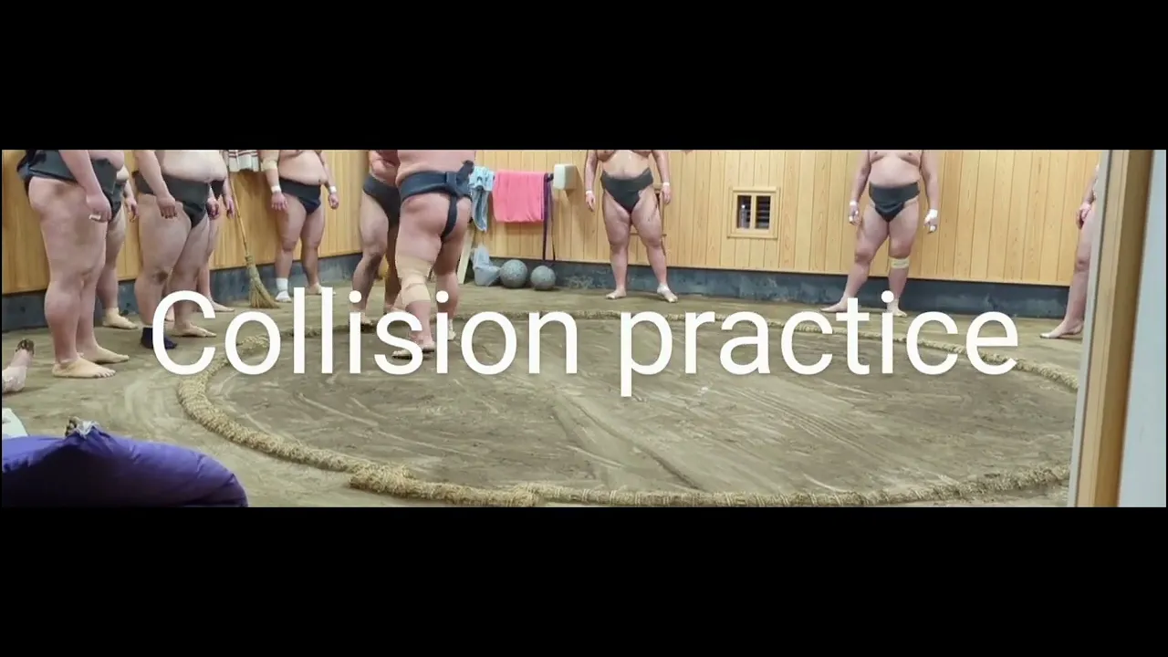 Book a Morning Sumo Practice Viewing Tour in Tokyo