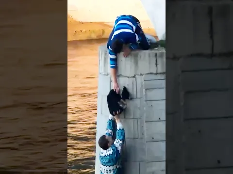 Hero Climbs Down A Bridge To Save A Stranded Puppy