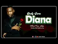 Lagu Dady Owee Diana Piano Official Audio