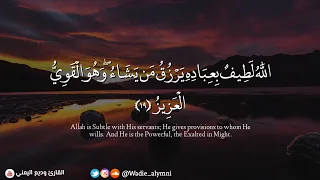   الل  ه  ل ط يف  ب ع ب اد ه  ي ر ز ق  م ن ي ش اء    طمأنينة وراحة لاتوصف بهذا المقطع   وديع اليمني دندنها