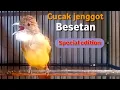 Download Lagu Kicau cucak jenggot emosi besetan mantap Bikin cjj lain langsung repson gacor