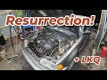 Going On A LKQ Salvage Yard Adventure Plus 1991 Honda Civic Progress