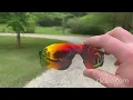 Seek Optics - lens review for Oakley EVZERO Path Replacement colors and what to expect Corrected