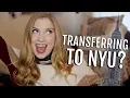 Q A Transferring to NYU How I applied for NYU Summer Housing Lottie Smalley