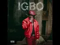 Didi B - Igbo (Audio ) 