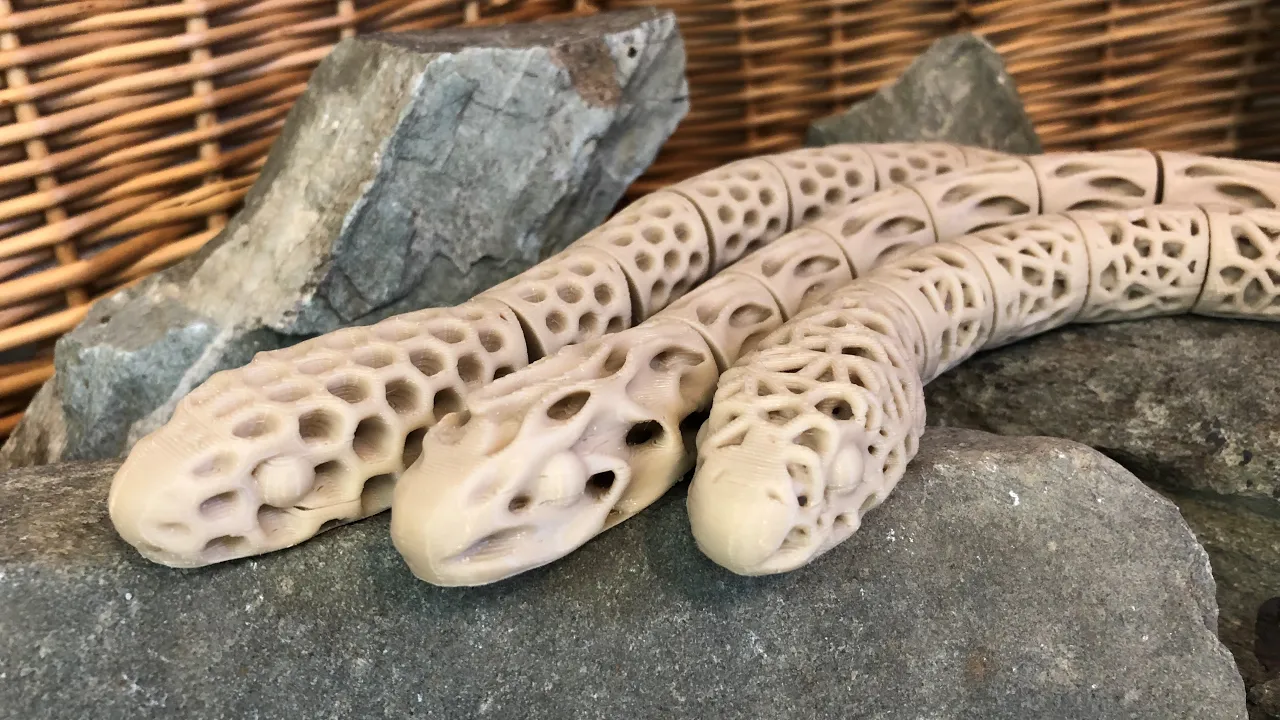 Serpentes nTopologus Voronoicus
