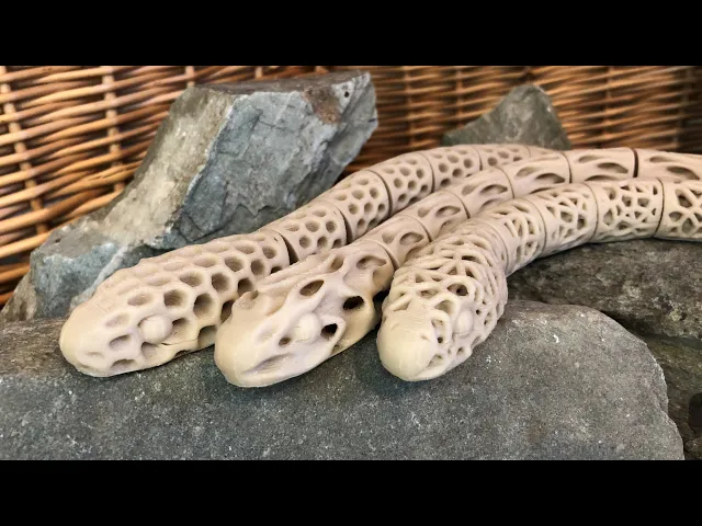 Serpentes nTopologus Gyroidicus video thumbnail