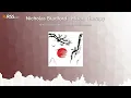 Nicholas Bradford - Mixed Therapy 4.0
