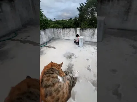 ye baccha kya karta hai yaha aake 😡😾😑
