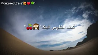 حالات واتس اب دينية انستفرام اجمل اناشيد منصور السالمي الجذع حن اليك Muhammed Essa 