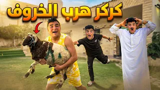 لما اخوك الصغير يهرب خروف العيد علشان مايتدبحش     سيف عماد دندنها