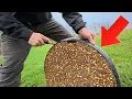 Tractor Supply s Newest Deer Feed And Tips For An EPIC Turkey Setup
