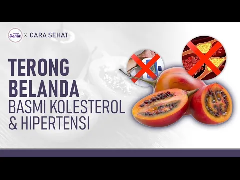 Tips Minum Jus Terong Belanda untuk Atasi Kolesterol dan Hipertensi