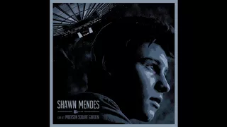 Download Stitches (Live) - Shawn Mendes - Live At Madison Square Garden MP3