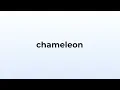 How to pronounce chameleon