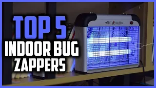 Top 5 Best Indoor Bug Zappers in 2025 Reviews