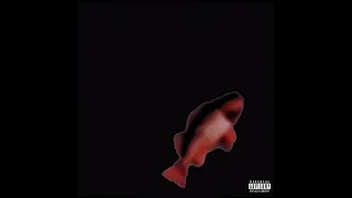 F SH Travis Scott Playboi Carti - FE N Fish Cover