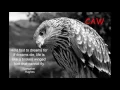 03 Yo Gotti Women Lie Men Lie Ft Lil Wayne