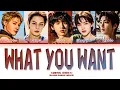 Download Lagu CORTIS (코르티스) 'What You Want' Lyrics (Color Coded Lyrics)
