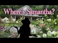 My Husband Took Over My Channel Touring the 31 Acres You ve NEVER Seen Demo Day