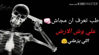 مهرجان طب تعرف ان رجولتي كفيلة تخليكو تحكو 