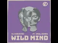 Wild Mind feat. Amal Nemer (VHS Disco Dub)