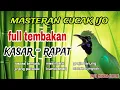 Download Lagu Masteran Cucak ijo full Tembakan Kasar - Mudah Masuk