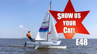 Show Us Your Cat! Episode 48 Holland and USA