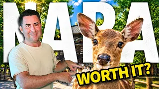 Is Nara Just a Cute Tourist Trap? (Watch Before You Go).