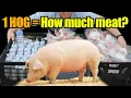 How Much Meat Comes From 300 lb Meat What Meat Cuts Can I Get