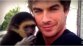 Ian Somerhalder If you have COMPASSION for an animal you ll have COMPASSION for people HicEtNunc