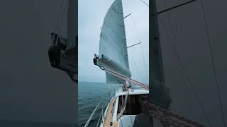 Testsegeln einer Sirius 35DS! #shorts