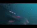 metahesh - out of time w/ goldy (slowed)