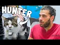 Download Lagu BU KEDİ TAM 9 TANE KUŞ YEMİŞ! (Güvercin Kümesine Dadanan Avcı Kedi!)