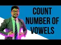 Program to count number of VOWELS String Manipulation in Java Day - 5 ICSE