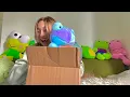 Unboxing Hoppy Swirls Build-a-Bear Frog