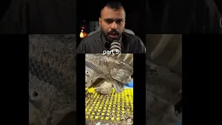 قصة ضابط في الصاعقة الدولية يكلف بمهمة سرية العميل السري قصص Vwar 