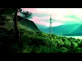 Bonobo - Kong (Extended)