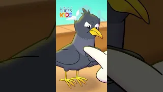 الحمامة والغراب 