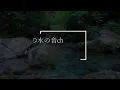 The sound of a clear blue and clear river, the chirping of birds [study, sleep, relaxation, ASMR]