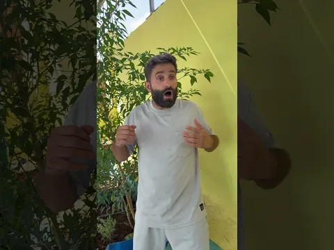 ما رد علي