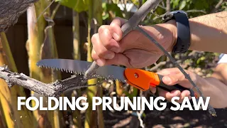 Folding Pruning Saw 