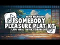Download Lagu DJ SOMEBODY PLEASURE CIHUY BREAKBEAT PLAT KT | TERBARU VIRAL TIKTOK 2025